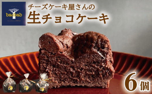 冷凍 生チョコ ケーキ 6個 ショコラ チョコ クリーム ギフト 個包装 お菓子  スイーツ デザート セット おやつ 焼き菓子 洋菓子 ギフト 差し入れ 贈り物 記念日 徳島県 吉野川市