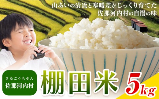 清流と寒暖差が生む村自慢の「棚田米」 5kg 《10月上旬より発送》徳島県 佐那河内村 棚田米 米 白米