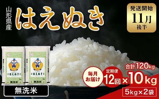 FYN2-028 【12回定期便・11月後半発送】令和7年産 新米 山形県産 はえぬき 10kg 2025年 お米 米 米米 ごはん ご飯 白米 国産 ブランド米 節水 時短 冷めてもおいしい贈答 ギフト 家庭用 自宅用 お取り寄せ 食品 山形県 西川町 月山 