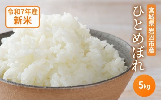 米 令和7年産 宮城県産 ひとめぼれ 5kg お米 精米[№5704-0876] 1552922 - 宮城県岩沼市