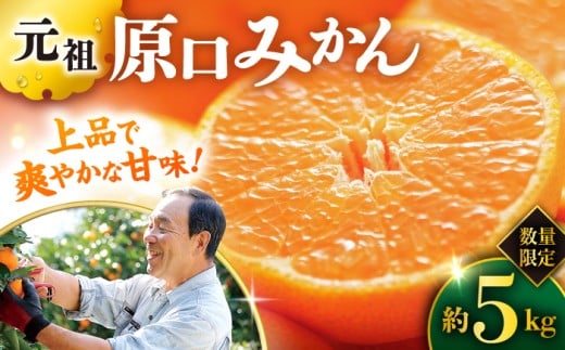みかん 【先行予約】『元祖』 原口みかん 約5kg みかん ＜原口果樹園＞ [CCW001] ミカン 蜜柑 原口みかん 西海みかん 贈答 ギフト みかん  西海