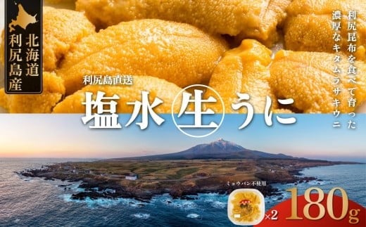 【2026年発送受付】利尻昆布育ちの天然生うに 塩水キタムラサキ 180g (90g×2p) 北海道 朝獲れ 塩水 ウニ 無添加 ミョウバン不使用 生 うに 雲丹 国産 天然 利尻 キタムラサキ ムラサキ[1110011] 1373925 - 北海道利尻町
