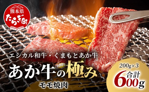 【エシカル和牛】くまもとあか牛【あか牛の極み】モモ焼肉 200g×3 (計 600g) モモ 赤身 熊本 あか牛 牛肉 小分け 焼肉 焼き肉 やきにく BBQ バーベキュー 和牛 国産 SDGs 033-0512