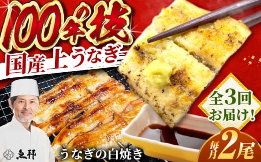 【3回定期便】国産 上うなぎ 白焼き 2尾 約150g×2パック / 鰻 ウナギ うなぎ 白焼き / 御嵩町 / 鰻 季節料理 魚邦 [AVBH027]