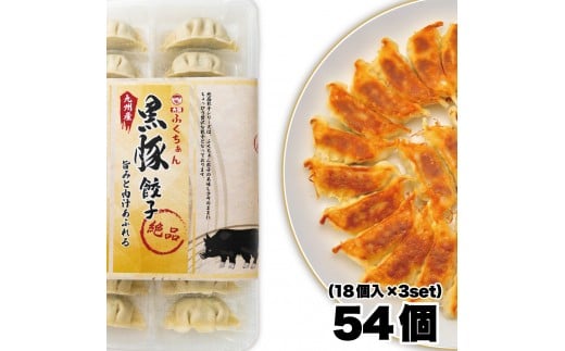 【大阪名物】大阪ふくちぁん黒豚餃子 冷凍生餃子 54個 ［18個入×3セット］