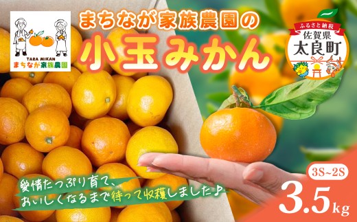 まちなが家族農園の小玉みかん 3.5kg みかん ミカン 蜜柑 たらみかん 太良みかん 温州みかん 完熟みかん 甘熟 柑橘 国産 佐賀県産 太良町 こだわり 有機栽培 産地直送 贈答品 詰め合わせ 極甘 M119