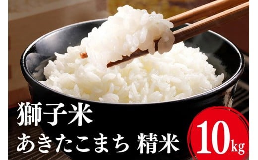 【令和7年産】獅子米 あきたこまち 精米10kg お米 米 精米 おこめ ブランド米 30キロ 国産 コメ こめ ご飯 銘柄米 茨城県産 茨城 産直 産地直送 農家直送 ごはん 家庭用 贈答用 お取り寄せ 茨城県 石岡市 B02-058