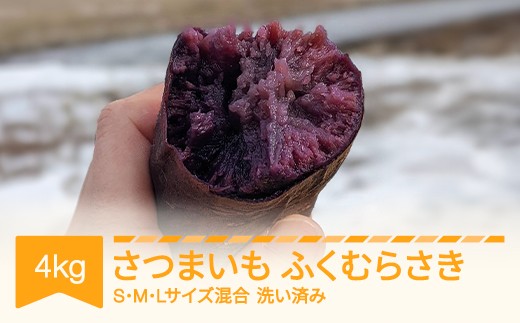 さつまいも 洗い済み ふくむらさき 約4kg 村山市産 2025年産 令和7年 山形県産 no-spfma4 ※沖縄・離島への配送不可