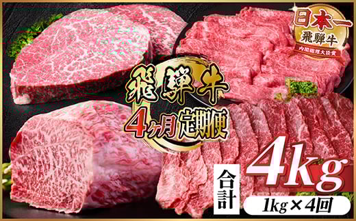 ＜毎月定期便＞飛騨牛 赤身定期便 計4kg 焼肉 BBQ すき焼き しゃぶしゃぶ ブロック全4回【4072655】