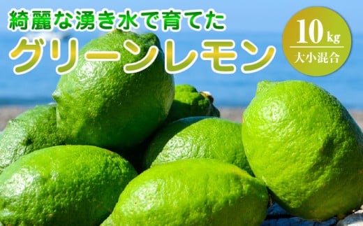 EA6114_ グリーンレモン 内容量 10kg 大小混合 レモン 柑橘 綺麗 湧き水 フレッシュ 爽やか 酸味 ジューシー 香り こだわり 料理 お酒に合う レモンサワー 炭酸水 フルーツ お取り寄せ 和歌山県 湯浅町 送料無料