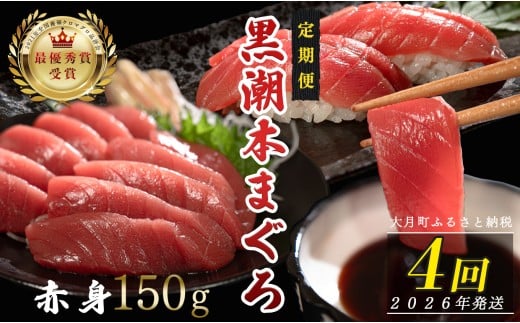 【定期便4回】日本一!黒潮本まぐろ 赤身