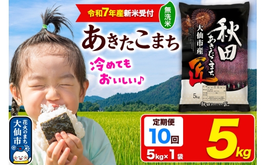 ＜令和7年産 新米受付＞《定期便10ヶ月》米【無洗米】秋田県大仙市産 あきたこまち 精米 5kg 令和7年産