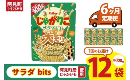 【6ヶ月定期便】カルビー じゃがりこサラダ bits 大モリ（100g）×12個｜Calbee お菓子 菓子 おやつ おかし ぽてち ポテチ スナック おつまみ ジャガイモ じゃがいも（93-54）