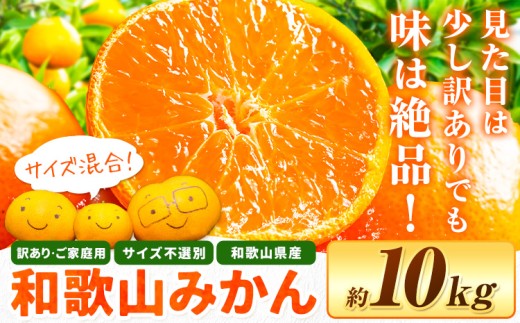 和歌山県産 訳あり みかん(3S～3L) 約10kg《11月上旬-12月末頃出荷》和歌山県 日高川町 柑橘類 柑橘 果物 フルーツ ミカン 訳ありみかん 家庭用 お取り寄せフルーツ みかん 大容量
