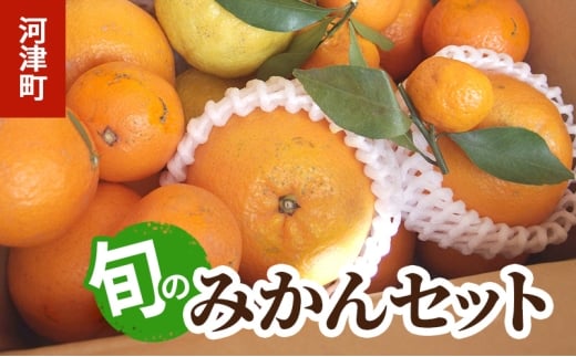 みかん 河津町旬のみかんセット ミカン セット 旬の果物 フルーツ 果実 ニューサマーオレンジ 甘夏 不知火 早生ミカン はるみ ポンカン 河津町 静岡県 [№5227-0540]