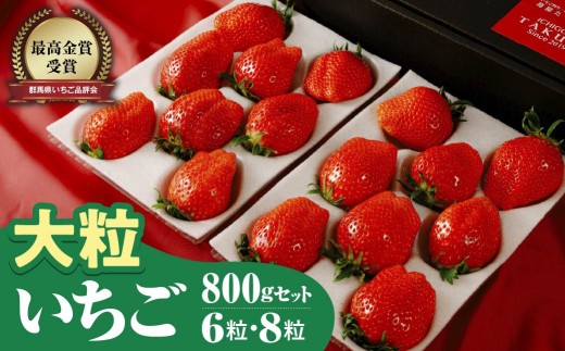 【2026年 先行予約】いちご 大粒 やよいひめ 約800g 群馬県いちご品評会最高金賞｜1トレー8粒 9粒 朝採れ やみつき高品質 たっぷり 贈答用 新鮮 完熟 いちご 旬 苺 ストロベリー 高級 大粒 産地直送 果汁 甘い あまい 人気 高評価 減農薬 有機肥料 高糖度 ごほうび プレゼント 群馬県 前橋市