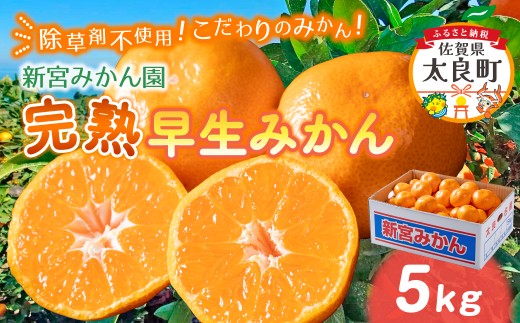 L-54 新宮みかん園 完熟早生みかん（S～L）５kgみかんミカン蜜柑温州みかんふるさと納税有明海柑橘甘い果物フルーツ新宮みかん園佐賀県太良町L54［L54］