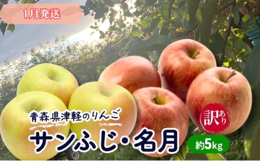 【1月発送】【訳あり】青森県津軽のりんご「サンふじ・名月」約5kg【里いちみfarm】