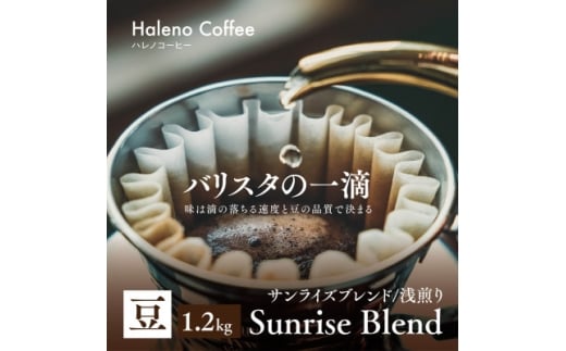 バリスタの一滴 究極のハレノコーヒー サンライズブレンド(浅煎り) 豆 1.2kg【1654445】