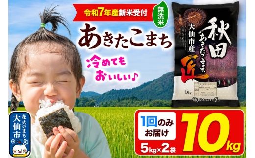 ＜令和7年産 新米受付＞米【無洗米】秋田県大仙市産 あきたこまち 精米 10kg（5kg×2袋）令和7年産 2275424 - 秋田県大仙市