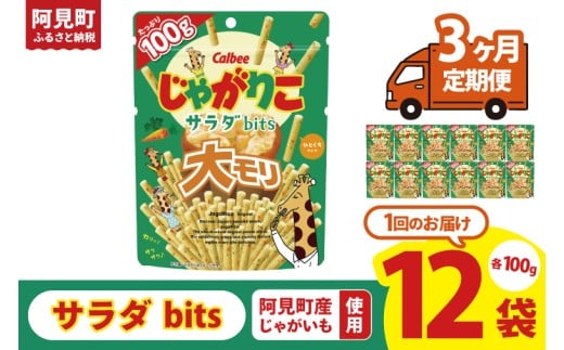 【3ヶ月定期便】カルビー じゃがりこサラダ bits 大モリ（100g）×12個｜Calbee お菓子 菓子 おやつ おかし ぽてち ポテチ スナック おつまみ ジャガイモ じゃがいも（93-53）