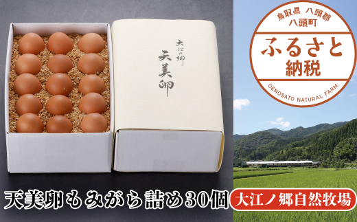【平飼い】天美卵もみがら詰め30個【高級卵】《大江ノ郷自然牧場より直送》