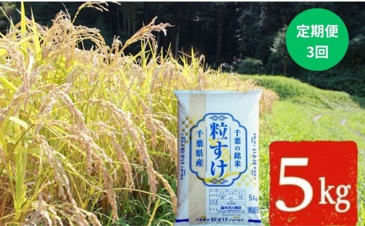 新米 【 令和7年産 】【 定期便 ・3ヶ月 】【新品種】千葉 ・ 粒すけ （精米）5kg | 米 こめ お米 おこめ 白米 精米 大つぶ 千葉県のブランド米 千葉県 君津市
