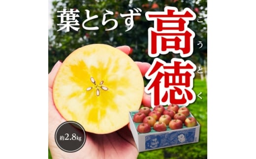 ＜令和7年11月上旬～発送＞今年もお届け。味にこだわる生産者から「葉とらずこうとく」2.8kg【1124030】
