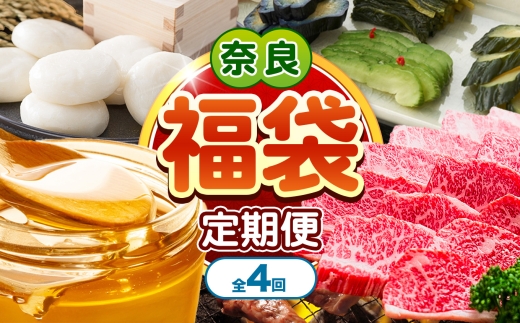 【 定期便4回 】奈良県 御杖村 おたのしみ 福袋｜全4回（3ヶ月に1回発送） 餅 もち 漬物 大和牛 焼肉 はちみつ 奈良県 御杖村
