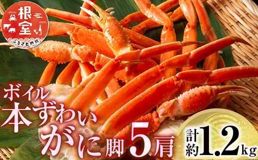 A-11246 ボイル本ずわいがに脚5肩(計約1.2kg)