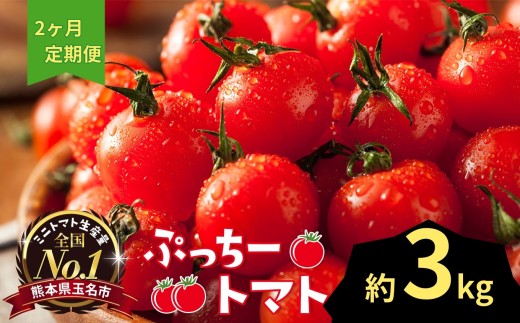 ぷっちートマト ミニトマト 3kg×2回 定期便 | 野菜 やさい ミニトマト ミニ とまと トマト 3kg 2回 定期便 リコピン 熊本県 玉名市