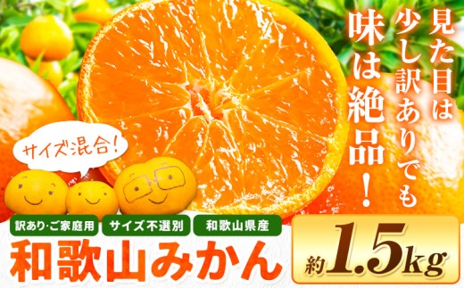 和歌山県産 訳あり みかん(3S～3L) 約1.5kg《11月上旬-12月末頃出荷》和歌山県 日高川町 柑橘類 柑橘 果物 フルーツ ミカン 訳ありみかん 家庭用 お試し お取り寄せフルーツ みかん