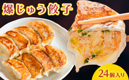 爆じゅう餃子　24個入り【1265789】