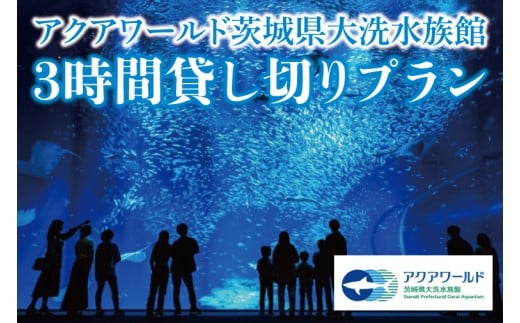【仮予約必須】 アクアワールド 茨城県 大洗 水族館 貸し切り プラン (3時間) プロポーズ ウェディング フォト ユニークベニュー ショートプラン 貸切
