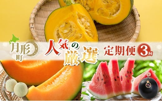 月形町 人気の厳選 定期便 3回お届け メロン 赤肉 スイカ かぼちゃ 南瓜 果物 フルーツ 野菜 旬 季節 送料無料[№5783-0897]