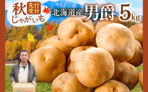 先行受付！ホクホク！しっとりなめらか！ 北海道産 男爵 いも じゃがいも 男爵いも 約5kg じゃがいも いも 芋 産地直送 秋_S041-0005 2137040 - 北海道清水町