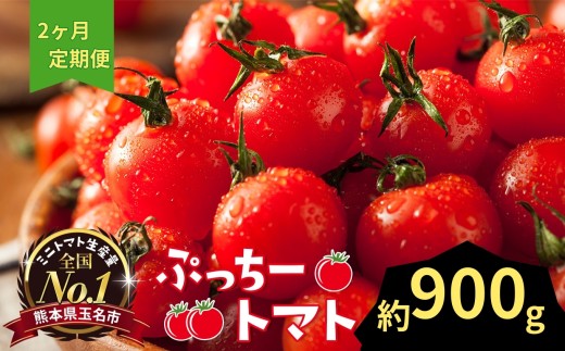 ぷっちートマト ミニトマト 900g×2回 定期便 | 野菜 やさい ミニトマト ミニ とまと トマト 900g 2回 定期便 リコピン 熊本県 玉名市