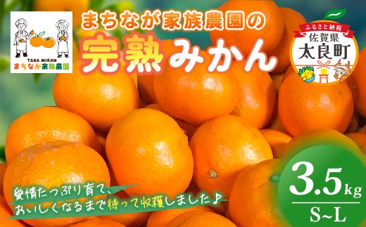 まちなが家族農園の完熟みかん 3.5kg みかん ミカン 蜜柑 たらみかん 太良みかん 温州みかん 完熟みかん 甘熟 柑橘 国産 佐賀県産 太良町 こだわり 有機栽培 産地直送 贈答品 詰め合わせ 極甘 M118