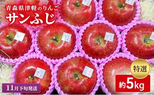 【11月下旬発送】【里いちみfarm】青森県津軽のりんご　特選「サンふじ」約5kg