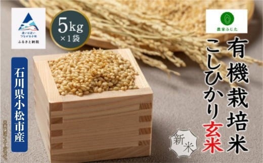 コシヒカリ 玄米 5kg 有機栽培米 令和7年産 コメ お米 こしひかり 石川県産 小松市産 【農家ふじた】 2276203 - 石川県小松市