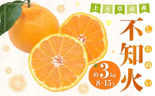 【先行受付】上天草市産 不知火 約3kg（8玉～15玉） 柑橘 果物 フルーツ 熊本県 上天草市 【2026年3月下旬から5月上旬順次発送予定】