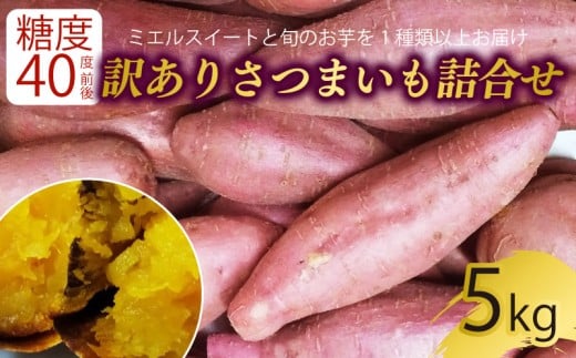 【9月下旬より順次発送】 【訳あり】 サツマイモ 詰め合わせ 5キロ ミエルスイート ＋1種類以上 安納黄金 紅はるか 土佐紅 焼き芋 焼いも 焼芋 やきいも 野菜 やさい 食品 人気 おすすめ 高知県 南国市