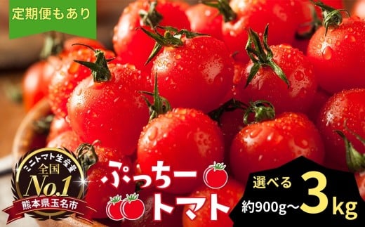 [選べる容量・回数]ぷっちートマト ミニトマト 900g 〜 3kg 発送回数 1回 2回 3回 | 野菜 やさい ミニトマト ミニ とまと トマト 900g 1.8kg 3kg リコピン 熊本県 玉名市