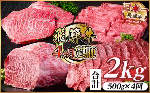 ＜毎月定期便＞飛騨牛 赤身定期便 計2kg 焼肉 BBQ すき焼き しゃぶしゃぶ ブロック全4回【4072758】
