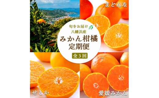 ＜発送月固定定期便＞愛媛みかん大玉8kg×まどんな2.5kg×せとか2kg＜H25-281＞全3回【4071450】
