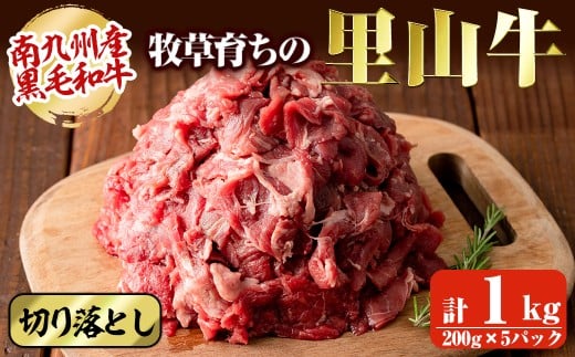 【志布志市制20周年記念】＜期間限定規格＞ 国産黒毛和牛 牧草育ちの里山牛 切り落とし計1kg(200g×5パック) 黒毛和牛 和牛 肉 牛肉 国産 切り落とし 赤身 真空パック a9-042