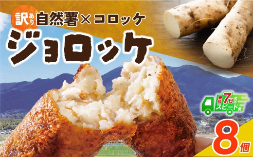 U19-08 自然薯たっぷり！福智町産じねんじょコロッケ【訳あり・冷凍・スピード発送】 ジョロッケ 8個セット じねんじょ 山芋 野菜 グルメ 取り寄せ ご当地 特産 産地 直送人気 オススメ 惣菜  訳あり わけあり 訳アリ 2136925 - 福岡県福智町