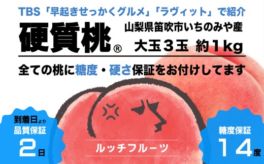 TBS「バナナマンの早起きせっかくグルメ」「ラヴィット」テレビ東京「何を隠そうソレガ」などテレビで紹介されました！