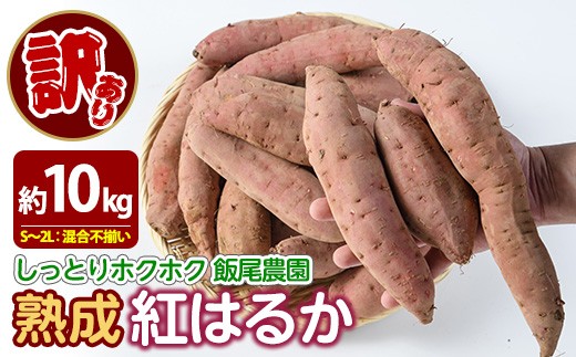 《訳あり》飯尾農園の紅はるか 約10kg