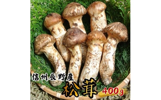 丁寧に梱包してお届けします。（写真はイメージです）